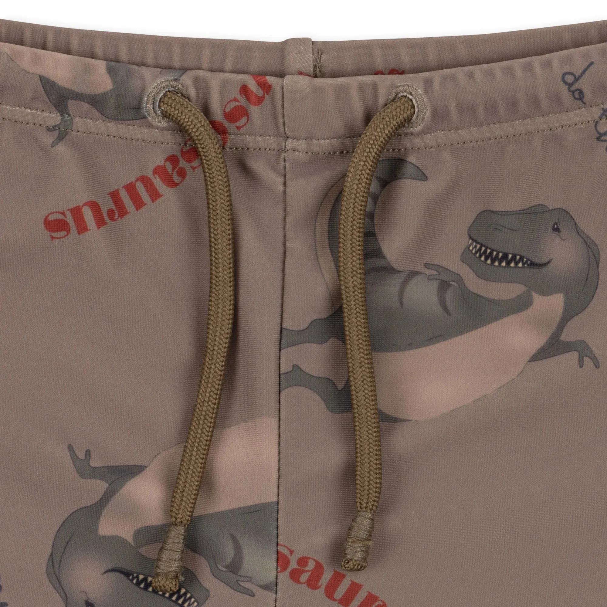 Aster Badehose - Dansosaurus