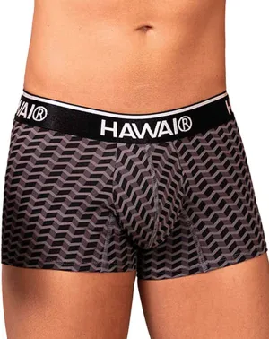 Kleidung_Hawai Herrenunterwäsche Hawai 42371 Bedruckte Boxershorts Grau
