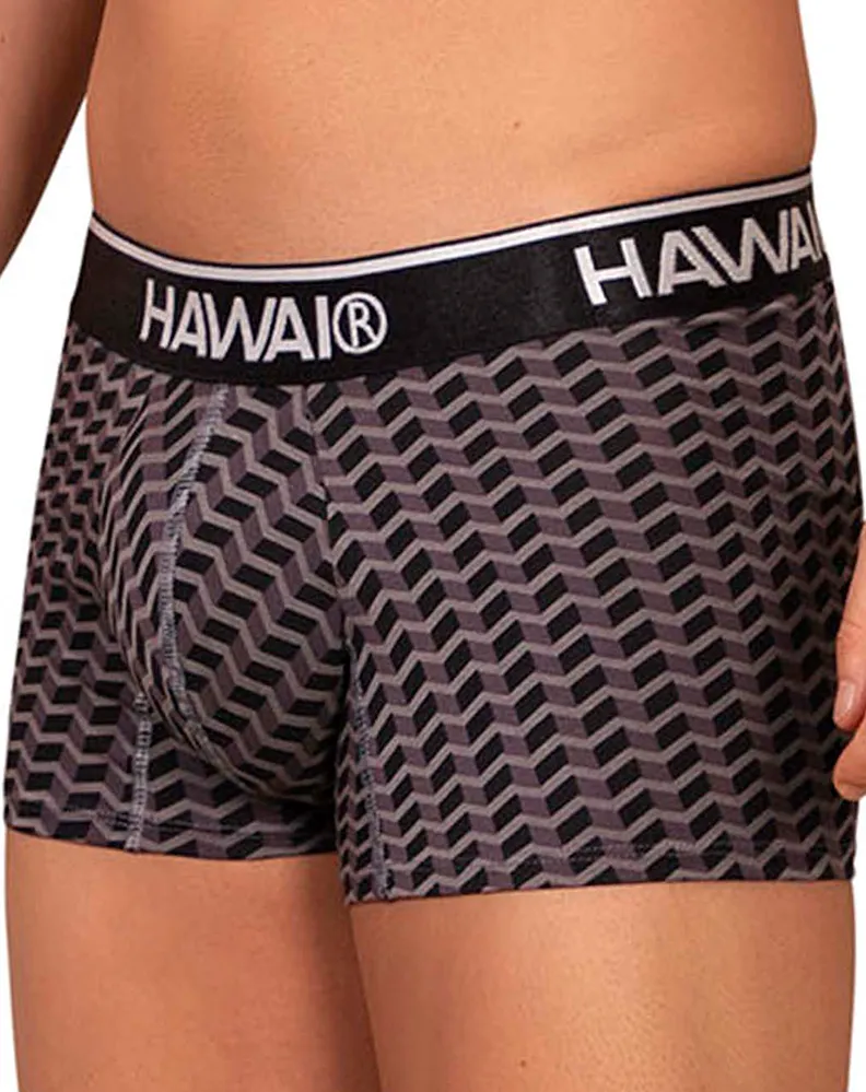Kleidung_Hawai Herrenunterwäsche Hawai 42371 Bedruckte Boxershorts Grau