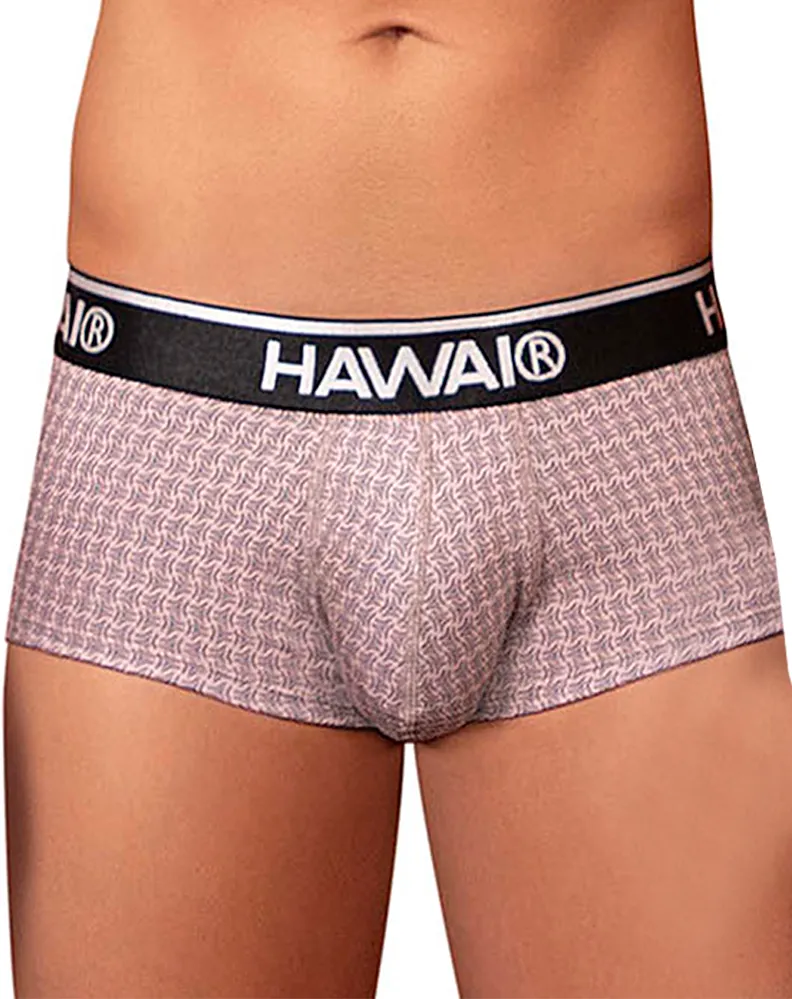 Bekleidung_Hawai Herrenunterwäsche Hawai 42431 Bedruckte Slips Kakao