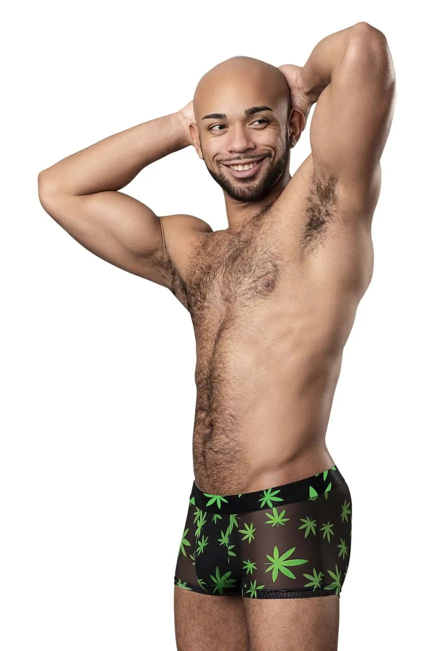 Bekleidung_Herren Power_Herrenunterwäsche Male Power 145-294 Hazy Dayz Pouch Short Farbe Pot Leaf