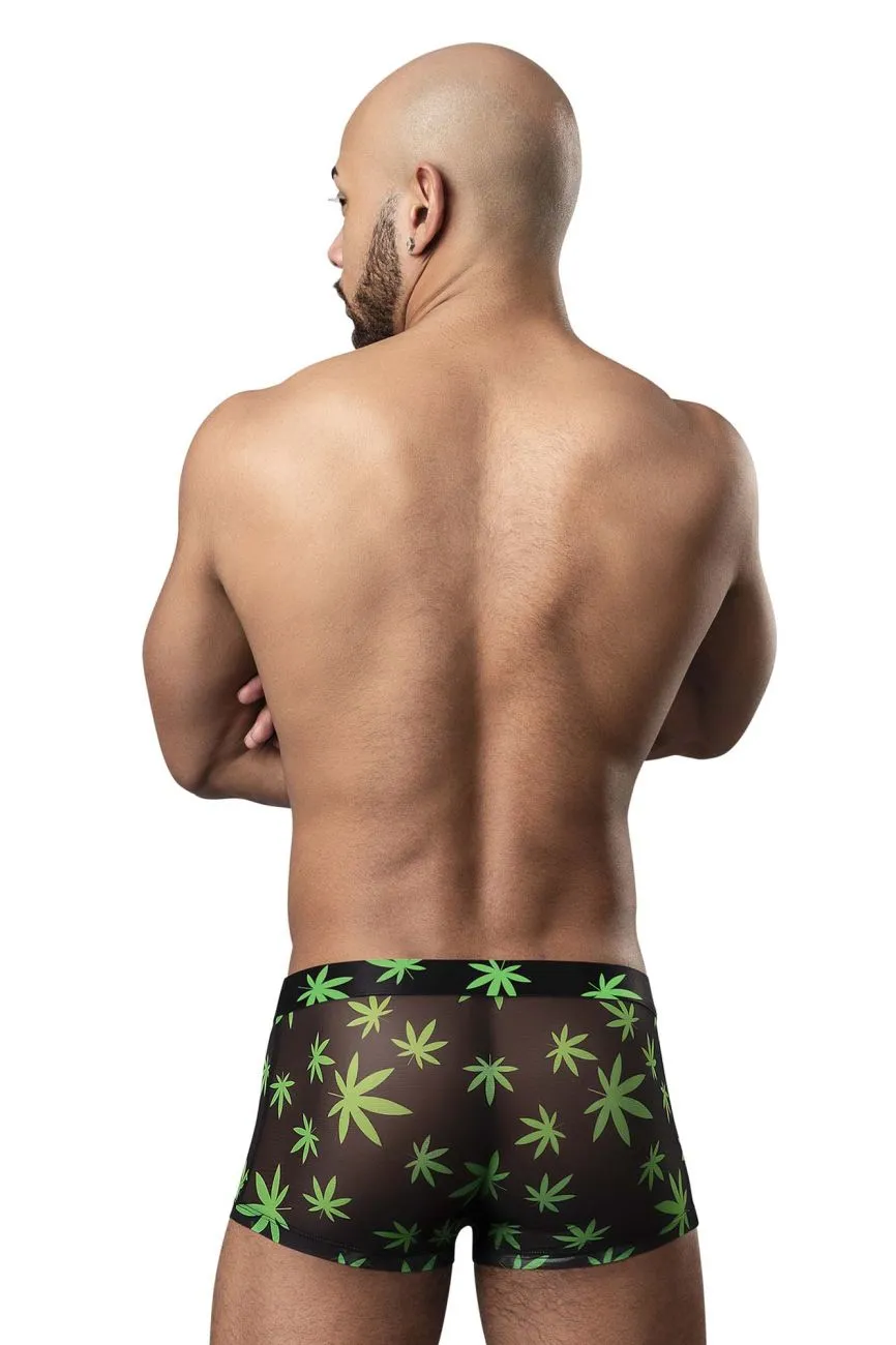 Bekleidung_Herren Power_Herrenunterwäsche Male Power 145-294 Hazy Dayz Pouch Short Farbe Pot Leaf
