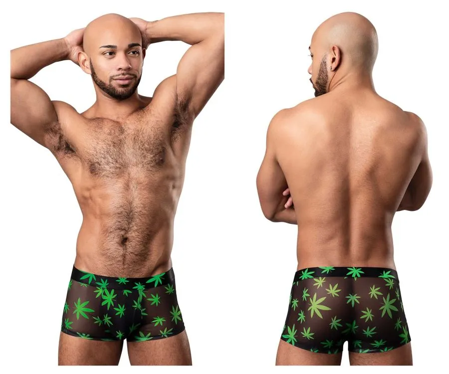 Bekleidung_Herren Power_Herrenunterwäsche Male Power 145-294 Hazy Dayz Pouch Short Farbe Pot Leaf