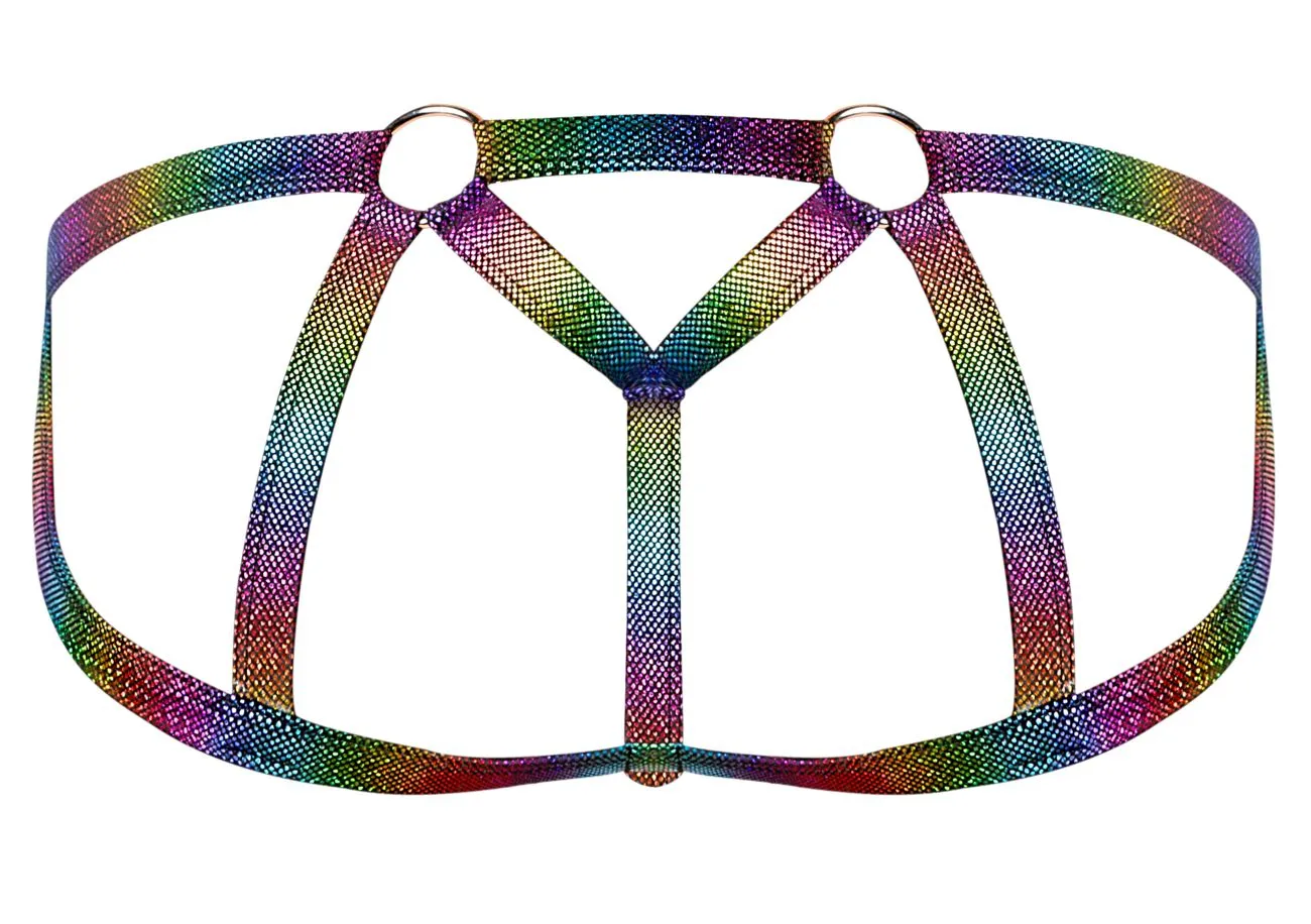 Bekleidung_Herren Power_Herrenunterwäsche Male Power 347-297 Pack N Play Jockstrap mit Kondomtasche vorne Farbe Regenbogen