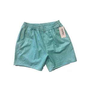 Kidpole Boys Minz-Gingham-Badeshorts
