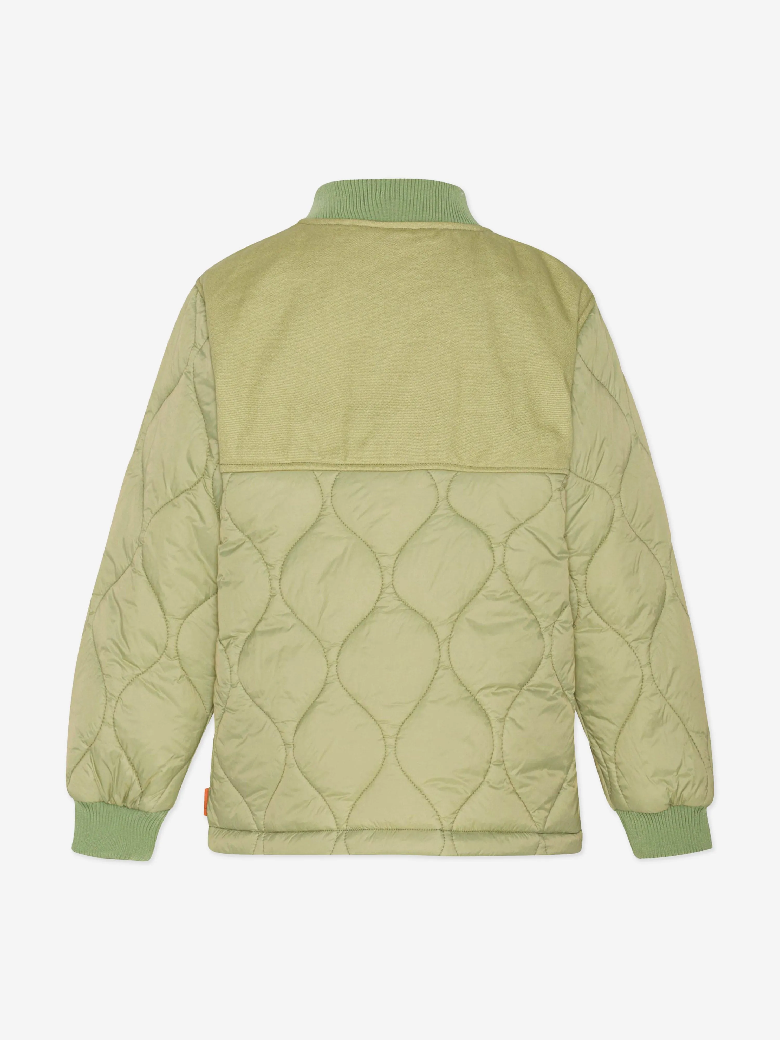 Molo Boys Steppjacke in Grün