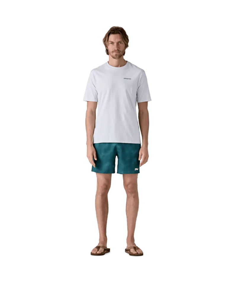 Patagonia Hydropeak Volley 16 in Boardshorts-Sea Spray: Gezeiten-Türkis