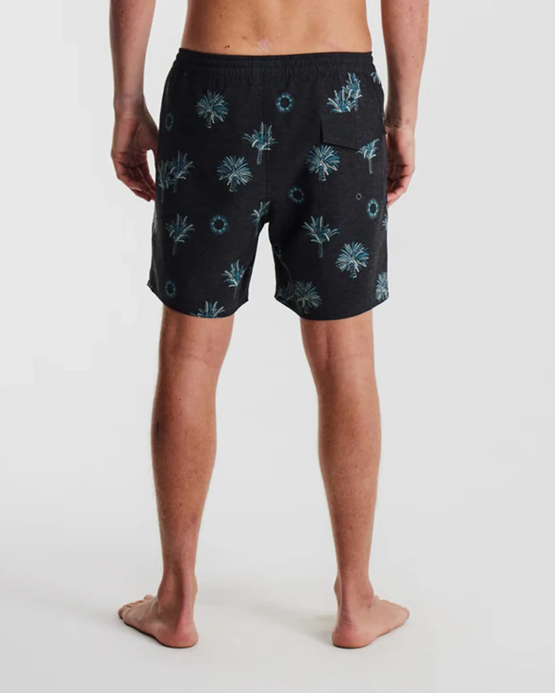 Shorey Shorts 16